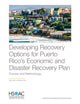 Book cover of: Developing Recovery Options for Puerto Rico's Economic and Disaster Recovery Plan. By: Rand Corporation