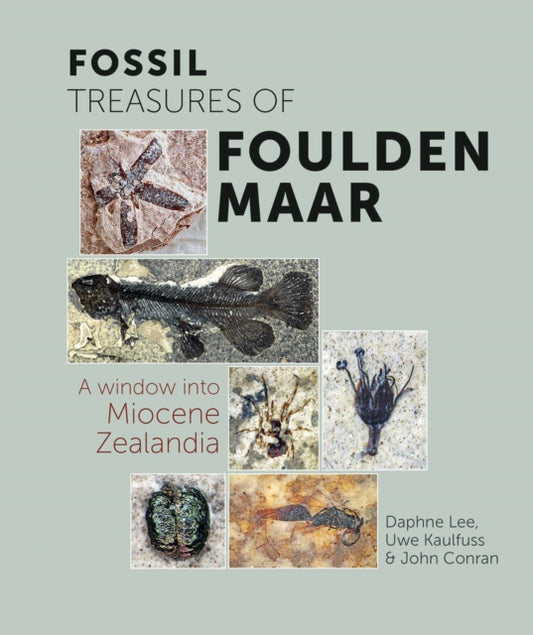 Book cover of: Fossil Treasures of Foulden Maar. By: Uwe Kaulfuss