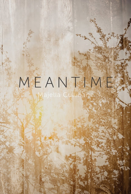Book cover of: Meantime