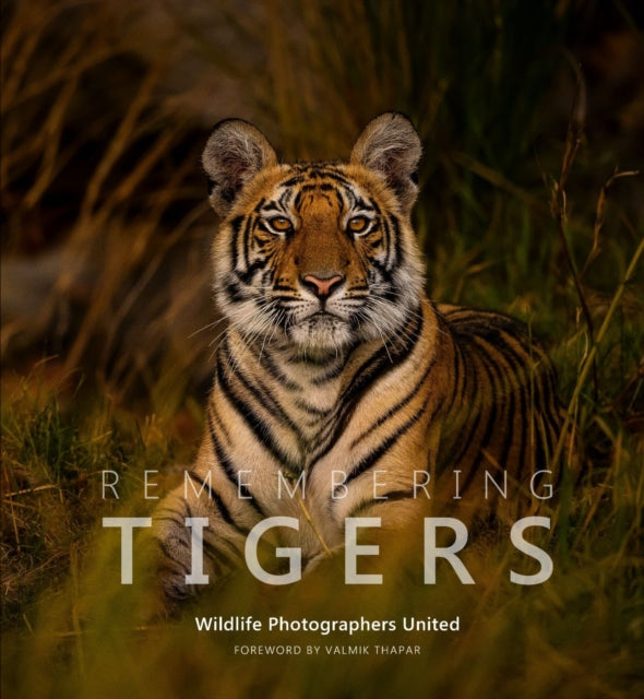 Book cover of: Remembering Tigers. By: Margot Raggett