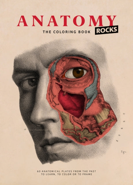 Book cover of: Anatomy Rocks: The Coloring Book. By: Lachat