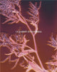 Book cover of: Le Jardin d’Hannibal