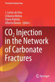 Book cover of: CO2 Injection in the Network of Carbonate Fractures. By: J. Carlos de Dios