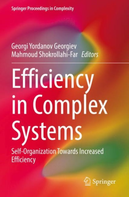 Book cover of: Efficiency in Complex Systems. By: Georgi Yordanov Georgiev
