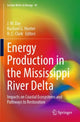 Book cover of: Energy Production in the Mississippi River Delta