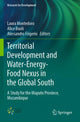 Book cover of: Territorial Development and Water-Energy-Food Nexus in the Global South. By: Laura Montedoro