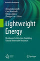 Book cover of: Lightweight Energy. By: Alessandra Zanelli