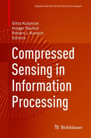 Compressed Sensing in Information Processing