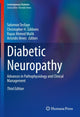Book cover of: Diabetic Neuropathy. By: Solomon Tesfaye