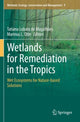 Book cover of: Wetlands for Remediation in the Tropics. By: Tatiana Lobato de Magalhães