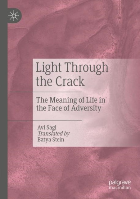 Book cover of: Light Through the Crack