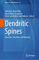 Book cover of: Dendritic Spines. By: Alberto Antonio Rasia-Filho