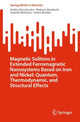Book cover of: Magnetic Solitons in Extended Ferromagnetic Nanosystems Based on Iron and Nickel: Quantum, Thermodynamic, and Structural Effects. By: Andriy Shevchenko