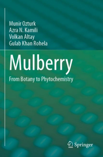 Book cover of: Mulberry