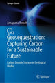 Book cover of: CO2 Geosequestration: Capturing Carbon for a Sustainable Future. By: Annapurna Boruah