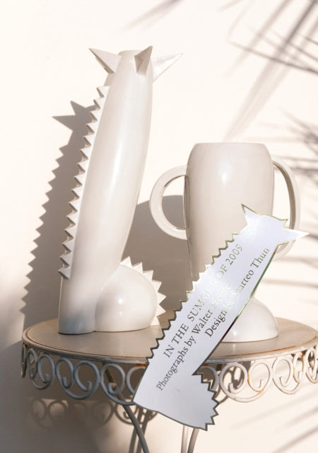 Book cover of: In the Summer of 2009