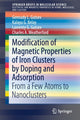 Book cover of: Modification of Magnetic Properties of Iron Clusters by Doping and Adsorption. By: Gennady L. Gutsev