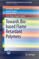 Book cover of: Towards Bio-based Flame Retardant Polymers. By: Rodolphe Sonnier