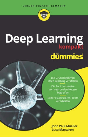 Deep Learning kompakt fur Dummies