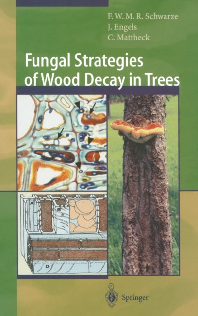 Book cover of: Fungal Strategies of Wood Decay in Trees. By: Francis W.M.R. Schwarze