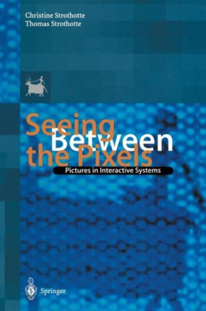 Book cover of: Seeing Between the Pixels. By: Christine Strothotte