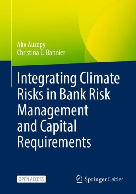 Book cover of: Integrating Climate Risks in Bank Risk Management and Capital Requirements