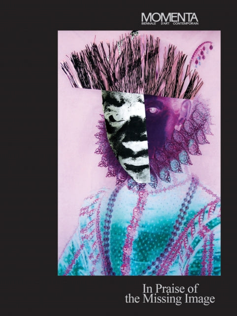 Book cover of: MOMENTA: In Praise of the Missing Image