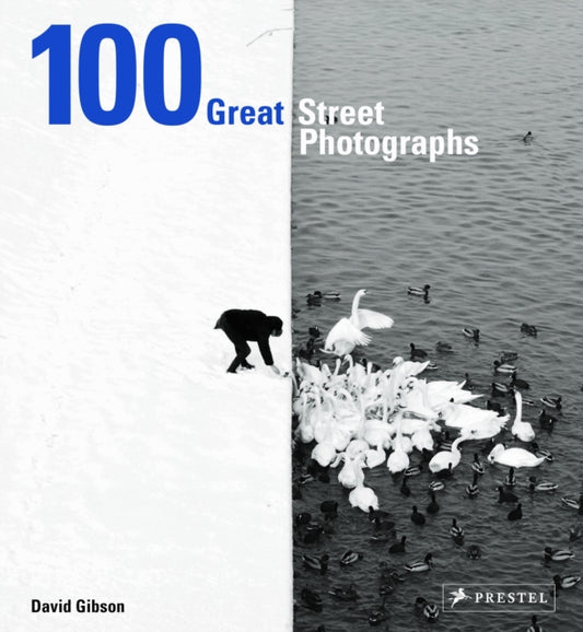 Book cover of: 100 Great Street Photographs. By: David Gibson
