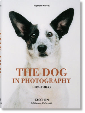 Dog in Photography 1839–Today