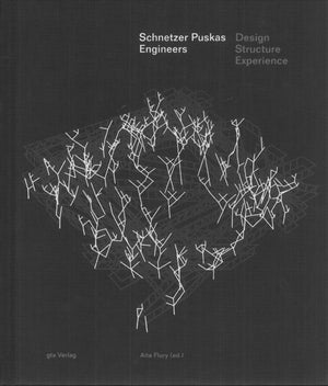 Schnetzer Puskas Engineers – Design Structure Experience