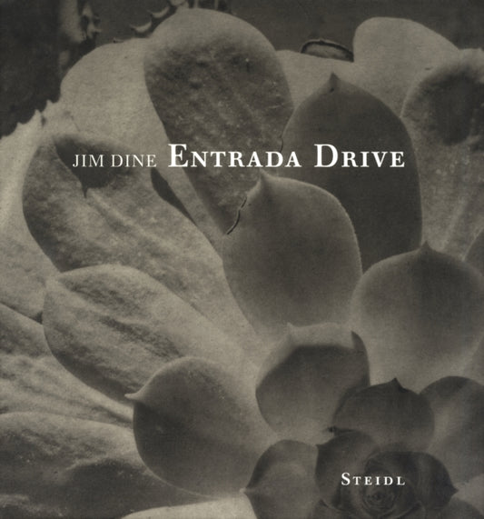 Book cover of: Jim Dine. By: Jim Dine