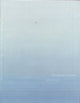 Book cover of: Felix Gonzalez-Torres. By: Félix González-Torres, Miwon Kwon