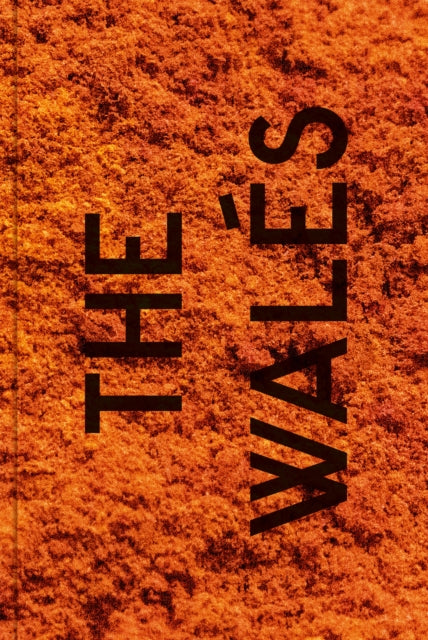 Book cover of: Songs of the Wales. By: Patrick Willocq