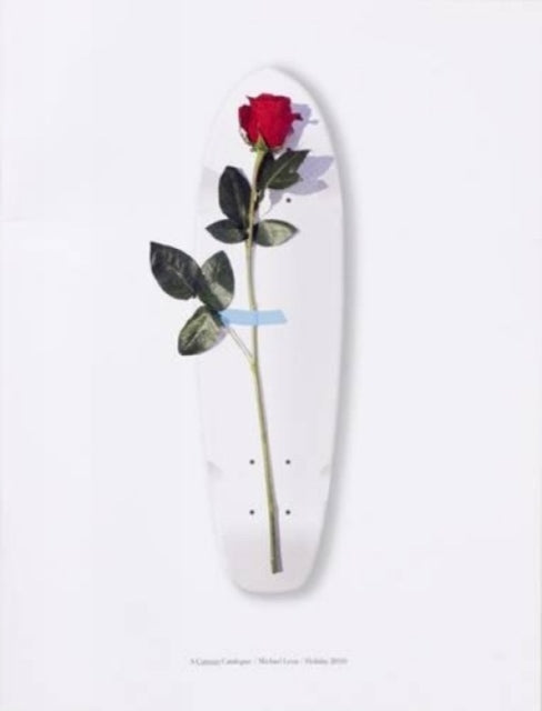 Book cover of: Curious Catalogue