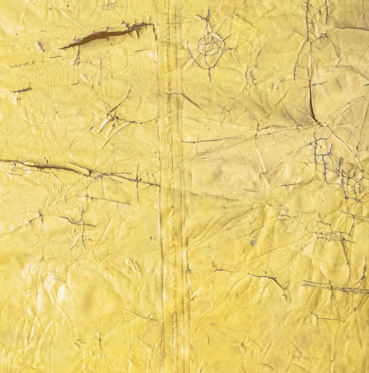 Book cover of: David Hammons. By: David Hammons