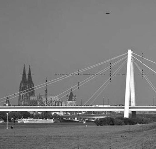 Book cover of: Rhine Bridges. By: Tomas Riehle