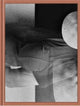 Book cover of: Immergrun. By: Alke Hollwedel
