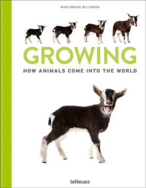 Growing, How animals come into our world