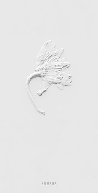 Ephemeral Field Journal
