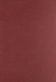 Book cover of: Amy Lowell