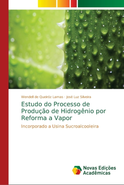 Book cover of: Estudo do Processo de Producao de Hidrogenio por Reforma a Vapor