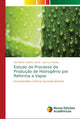 Book cover of: Estudo do Processo de Producao de Hidrogenio por Reforma a Vapor