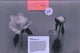Book cover of: I Love You