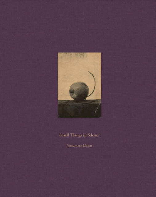 Book cover of: Masao Yamamoto: Small Things in Silence. By: Masao Yamamoto