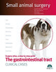 Book cover of: Gastrointestinal Tract. Clinical Cases.  Small Animal Surgery