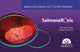 Book cover of: Salmonellosis. Main challenges in poultry farming