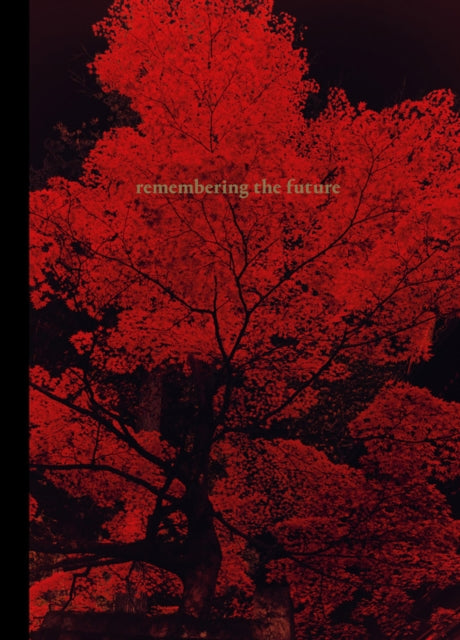 Book cover of: Remembering the Future. By: Anna Cabrera