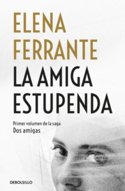 Book cover of: Dos amigas 1/La amiga estupenda. By: Elena Ferrante