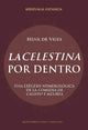 Book cover of: "La Celestina" Por Dentro. By: Henk de Vries