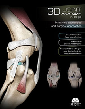 3D Joint Anatomy in Dogs. Main joint pathologies and surgical approaches